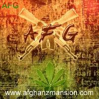 Picture for song 'Blaze Down' by artist 'Error RecordZ'