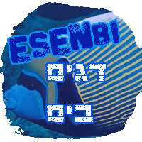 Picture for song 'âéí áé' by artist 'esenbi'