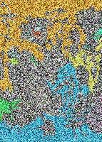 Picture for song 'Chee Cha' by artist 'Eskerbillion'