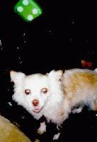 Picture for song 'Unchi' by artist 'Eskerbillion'