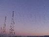 Picture for song 'Freq Radio' by artist 'ESKR and DIATRYBE'