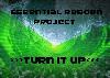 Picture for song 'Turn It Up' by artist 'Essential ReBorn Project'