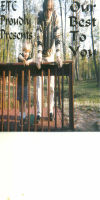 Picture for song 'Whiskey Whipped and Hurtin' by artist 'ETC Band'
