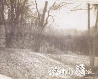 Picture for song 'BERSERKER' by artist 'ETERNAL WAR'