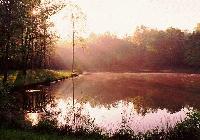 Picture for song 'Thank You Letter' by artist 'Ethan Elkind'