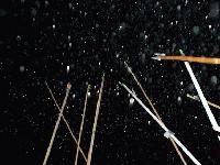 Picture for song 'Cutting the Japanese Man' by artist 'Ethnic Clerks'