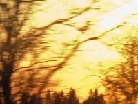 Picture for song 'Hashish and the Assassins' by artist 'Ethnic Clerks'