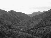 Picture for song 'Down' by artist 'Evileye'