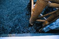 Picture for song 'Drown' by artist 'Evil Keith'