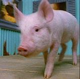 Picture for song 'Funk Bone' by artist 'Evil Keith'