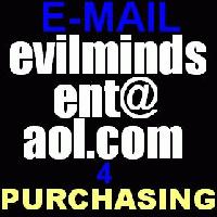 Picture for song 'Sexual Healing' by artist 'EViL MiNDS ENTERTAiNMENT'