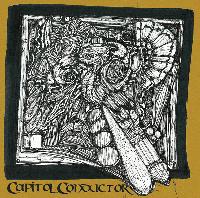 Picture for song 'capital conductor' by artist 'EVOLVEMUSIC RECORDS'