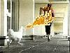 Picture for song 'Happy Fear Of The Rooster' by artist 'ewewew'