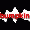 Picture for song 'bumpkin' by artist 'ewt'