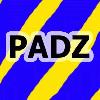 Picture for song 'padz' by artist 'ewt'