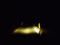 Picture for song 'Discourse (live)' by artist 'Existential Dilemma'