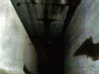 Picture for song 'Reduction by Dominance' by artist 'Existential Dilemma'