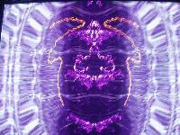 Picture for song 'Andromeda' by artist 'Exit 303'