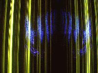 Picture for song 'Electric Forest' by artist 'Exit 303'