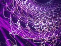 Picture for song 'Essence' by artist 'Exit 303'