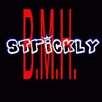 Picture for song 'Strickly B.M.H.' by artist 'Exo 409'