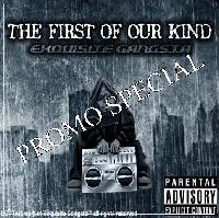 Picture for song 'Scam Artist' by artist 'Exquisite Gangsta'