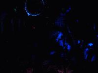 Picture for song 'Timbal Sabroso.' by artist 'ExtremeD'