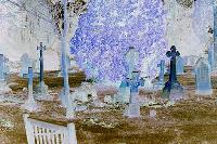 Picture for song 'flying over a pilot graveyard' by artist 'e yard'
