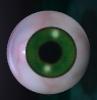 Picture for song 'Wanna B Witchu Ft. DownBottom' by artist 'EyeZSpy'