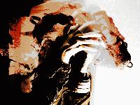 Picture for song 'Angry Pinoscorous' by artist 'Face'