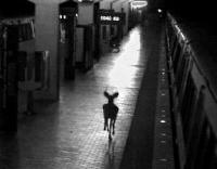 Picture for song 'Inappropriately titled Green' by artist 'Face'