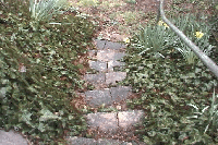 Picture for song 'Pink' by artist 'Face'