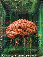 Picture for song 'It's "Gettin' Into OVA Time"' by artist 'Faceman'