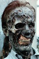 Picture for song 'L 4 X' by artist 'Faceman'