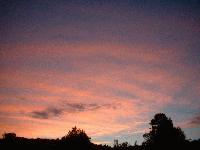 Picture for song 'Field of the Lazy Man' by artist 'Failure to Comply (US)'