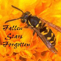 Picture for song 'Drowning in a Vial' by artist 'Fallen Stars Forgotten'