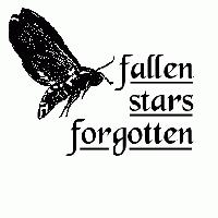 Picture for song 'Foolish' by artist 'Fallen Stars Forgotten'