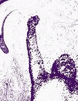 Picture for song 'Run Rabbit Run' by artist 'False Moves'