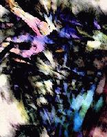 Picture for song 'the rebellious march of the worker ants' by artist 'fanatics of xerox'
