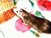 Picture for song 'Strike' by artist 'Fancy Face'