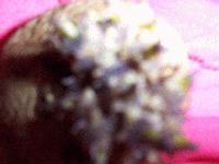 Picture for song 'HHH - The Power of Sendell [Fancy Face rmx]' by artist 'Fancy Face vs HHH'