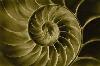 Picture for song 'Decompression Sickness (Pressure Dub)' by artist 'Farm in Africa'