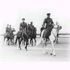 Picture for song 'Pahlavi Rumi' by artist 'Fascinating Rise'