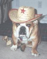 Picture for song 'Blaze a 50 redux' by artist 'Fat Boy Production'