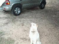 Picture for song '4 cylinder Wet Dream' by artist 'Fear 2 Stop'