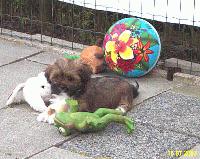 Picture for song 'Uprooted Dirty Secret' by artist 'Fear 2 Stop'