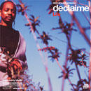 Picture for song 'Declaime - Enjoy Your Stay (I'mean rmx)' by artist 'felonyprod'