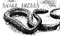 Picture for song 'Snakes PREVIEW' by artist 'Femcee Big D'