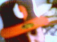 Picture for song 'fen LeaVes NiCcAs RitE whErE thEy StaNd!!' by artist 'FeNwAy'