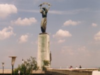 Picture for song 'Terabyte' by artist 'Fertile Reality'